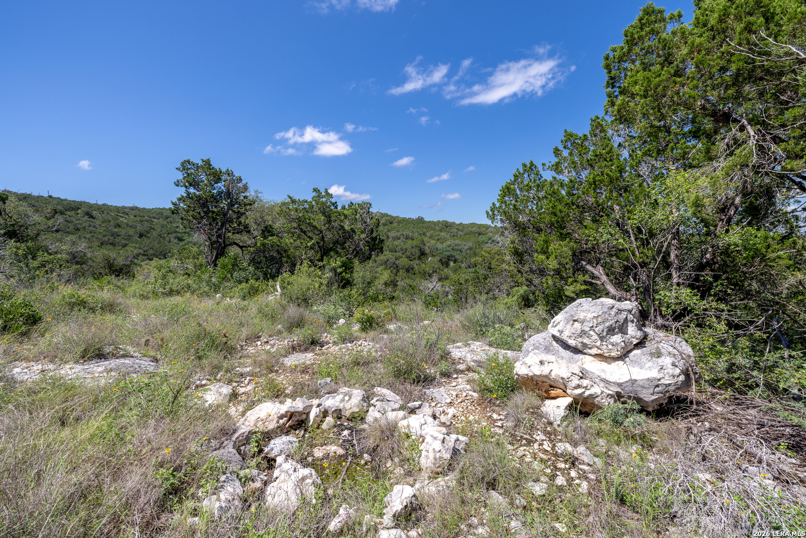 625 County Road 2763 Mico TX 78056