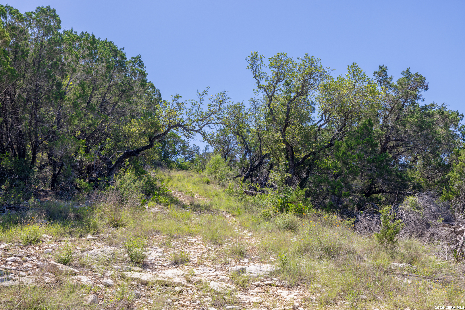 625 County Road 2763 Mico TX 78056