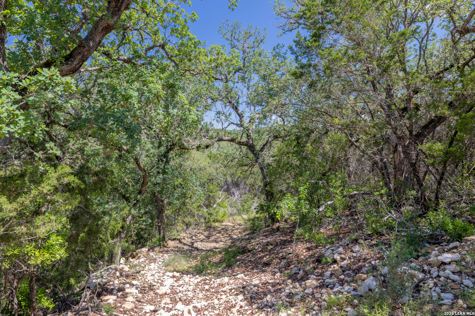 625 County Road 2763 Mico TX 78056