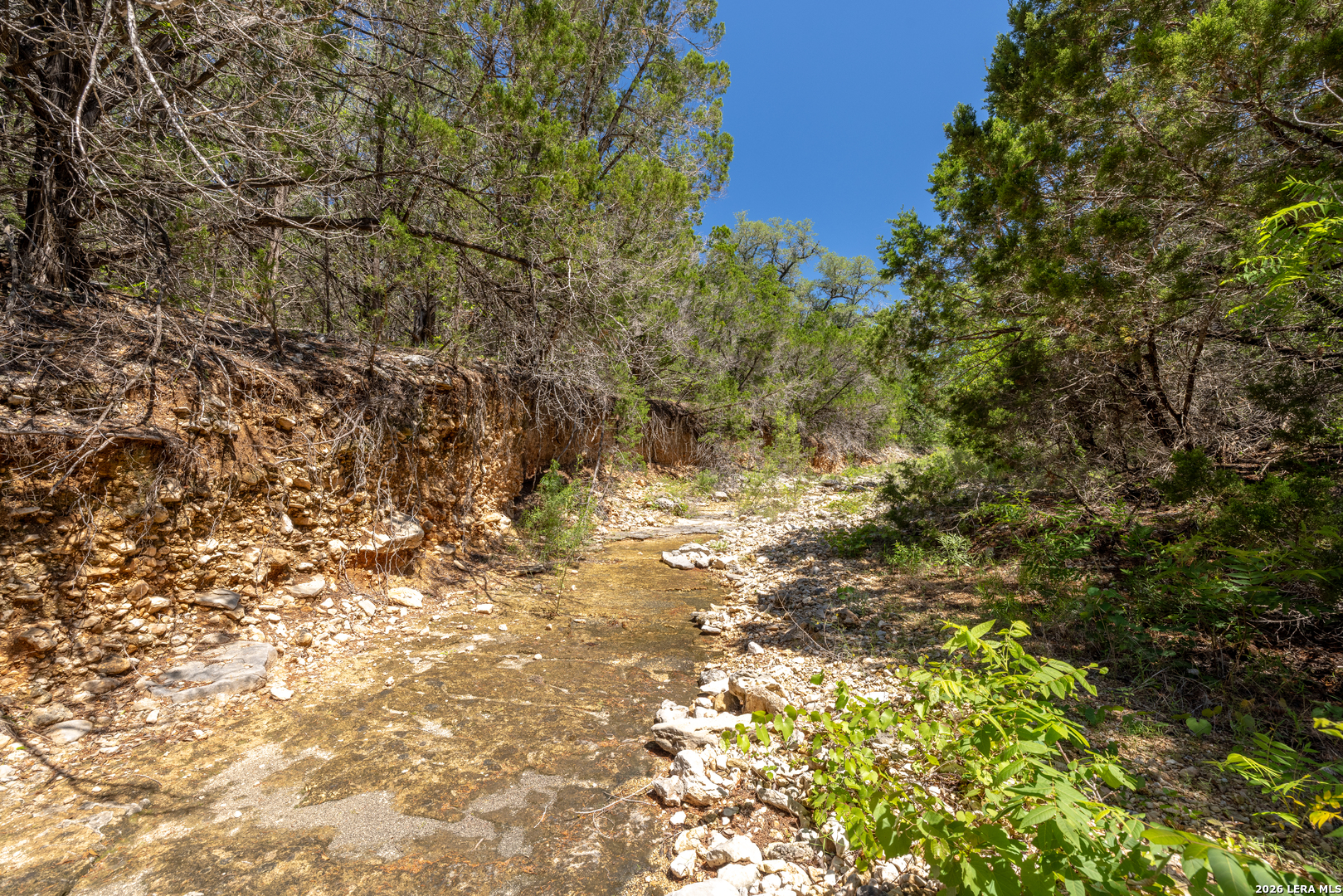 625 County Road 2763 Mico TX 78056
