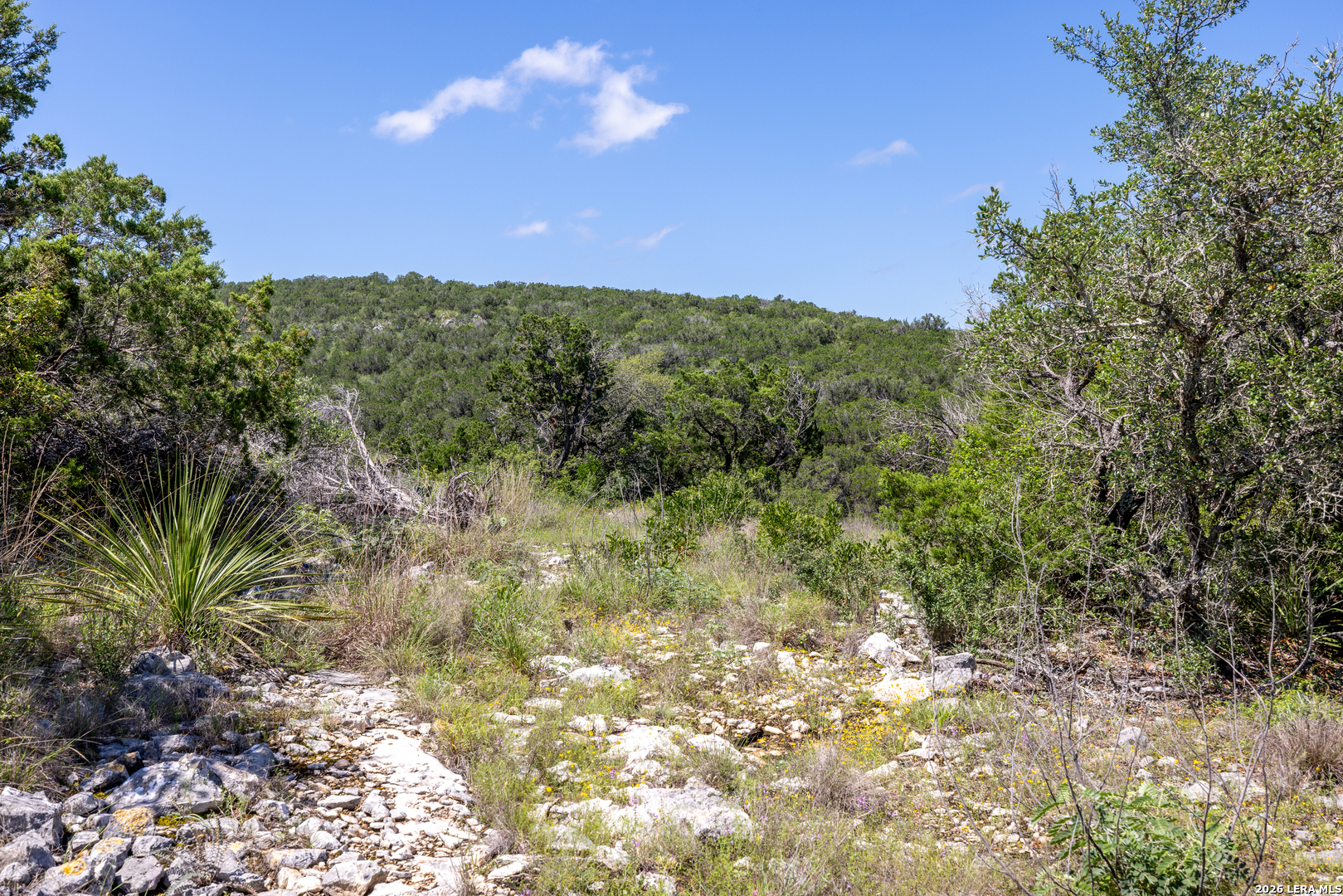 625 County Road 2763 Mico TX 78056