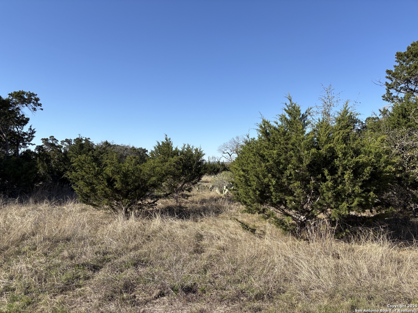 Lot 209 Palomino Springs Bandera TX 78003