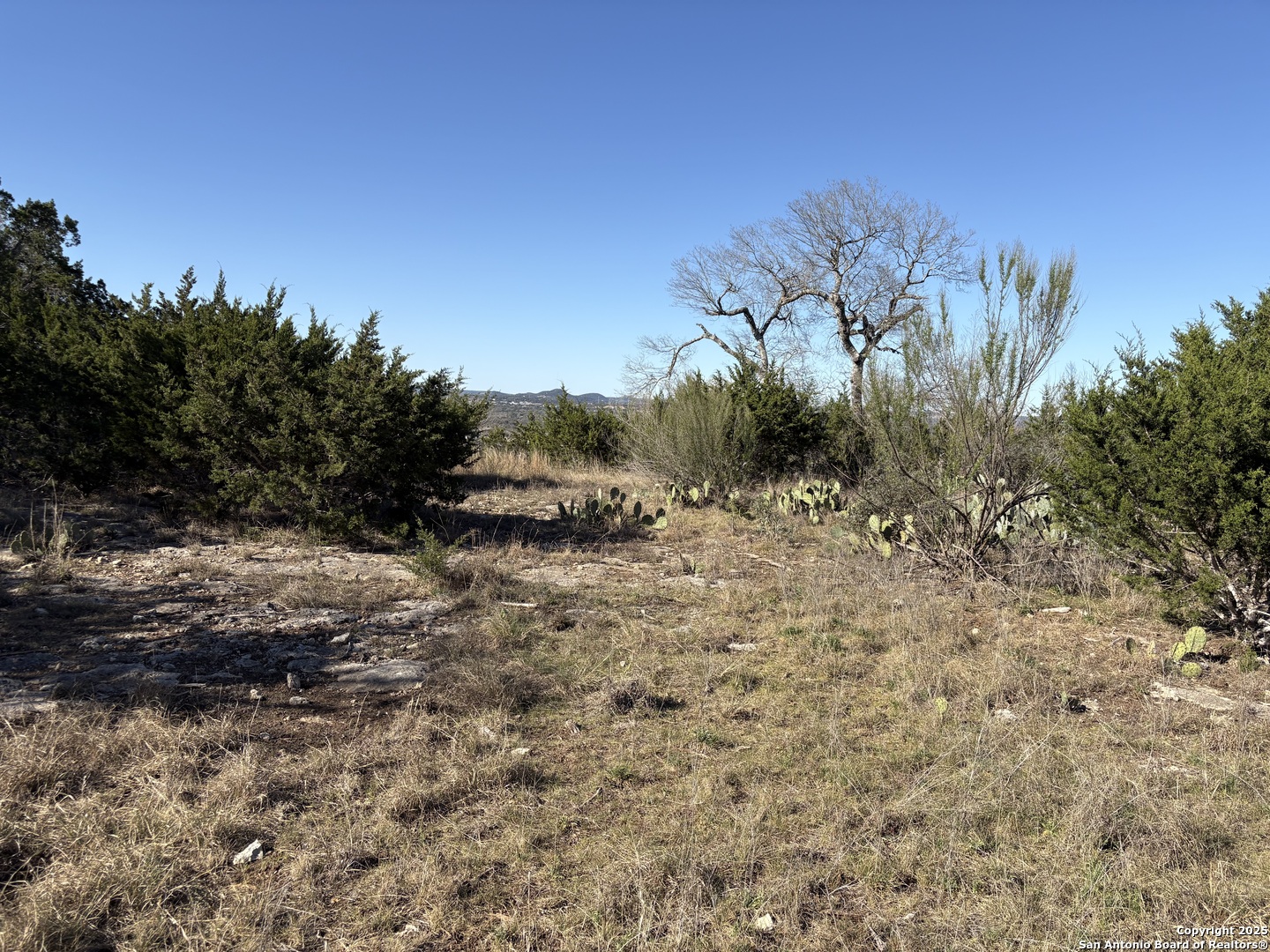 Lot 209 Palomino Springs Bandera TX 78003