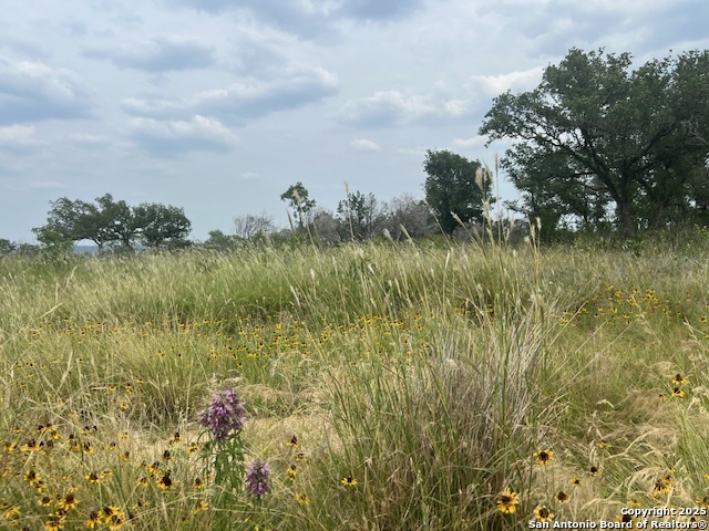 195 Crescent Ridge Hondo TX 78861