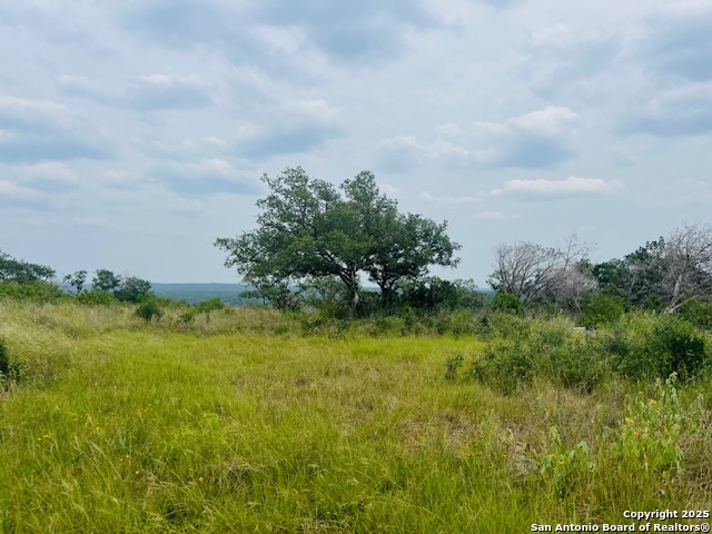 195 Crescent Ridge Hondo TX 78861