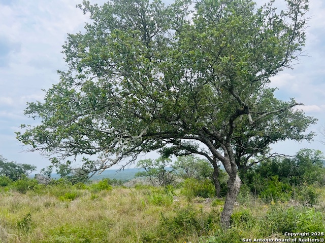 195 Crescent Ridge Hondo TX 78861