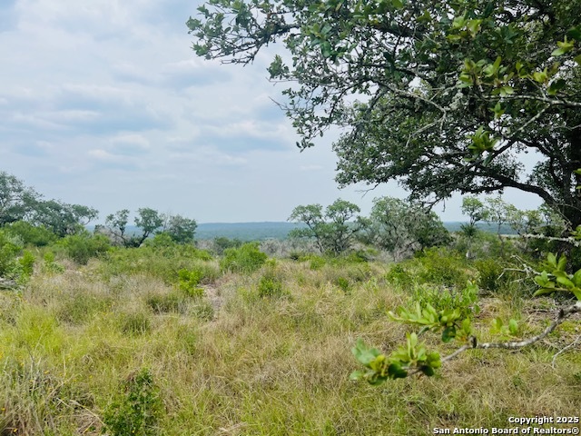 195 Crescent Ridge Hondo TX 78861