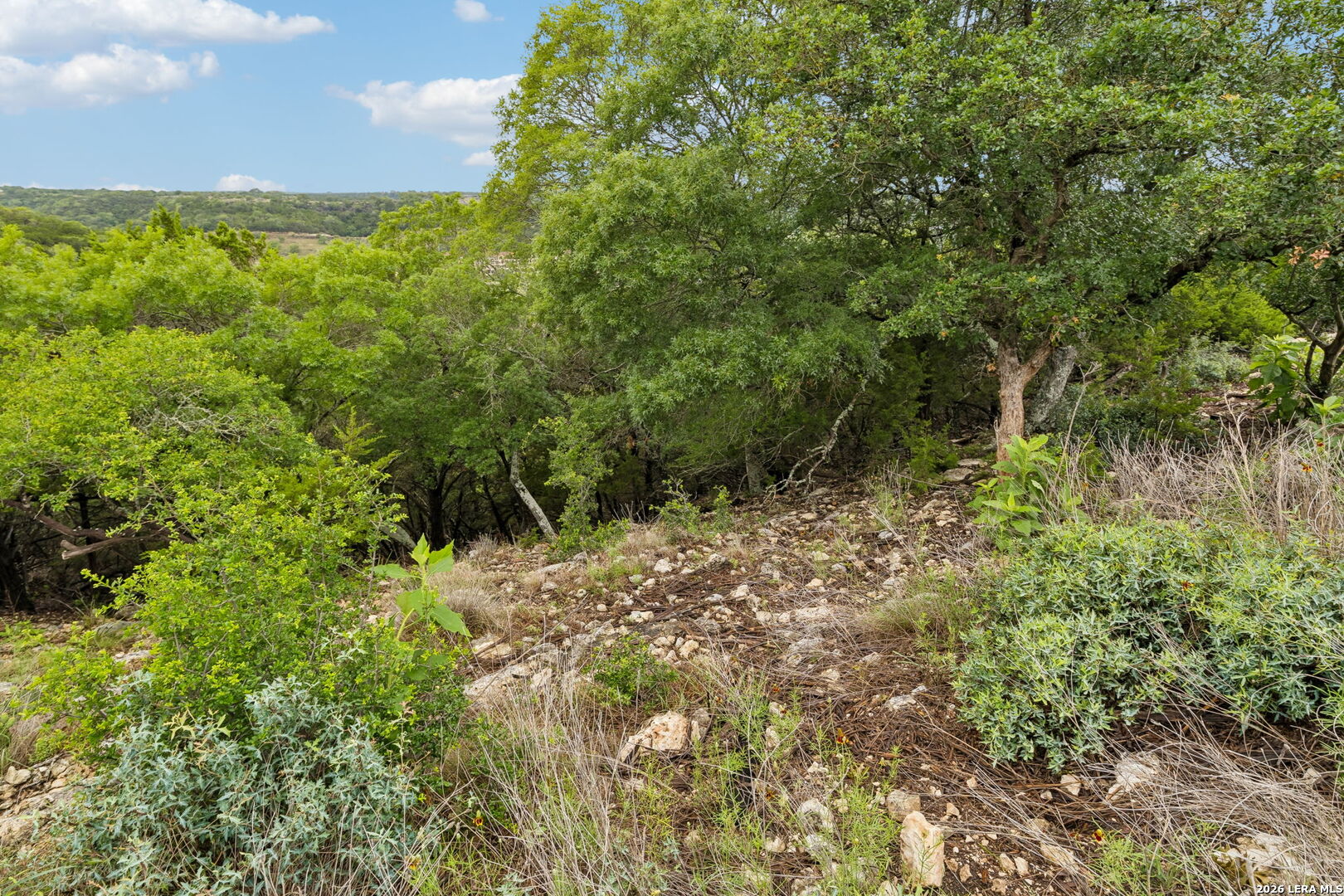428 Paradise Point Boerne TX 78006