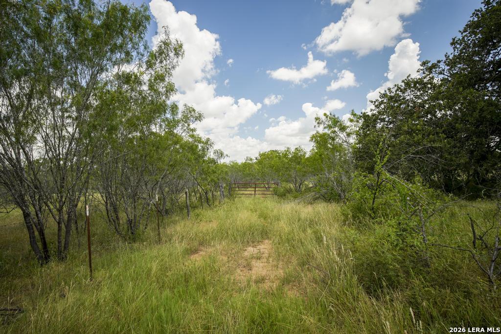 5616 Fm 1117 Seguin TX 78155