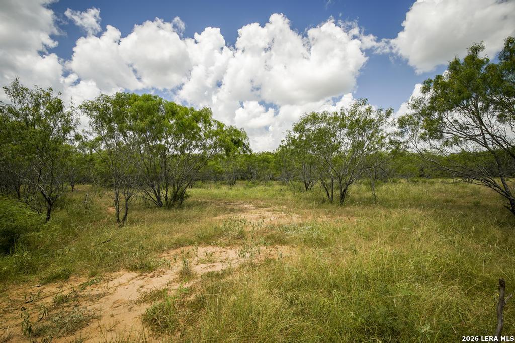 5616 Fm 1117 Seguin TX 78155
