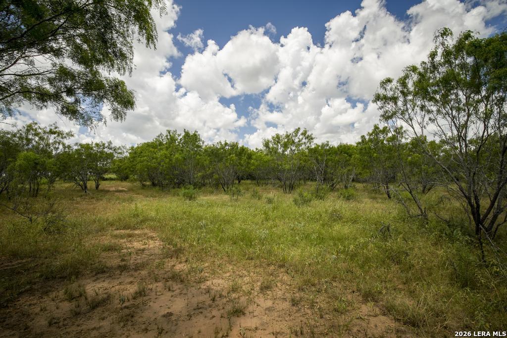 5616 Fm 1117 Seguin TX 78155