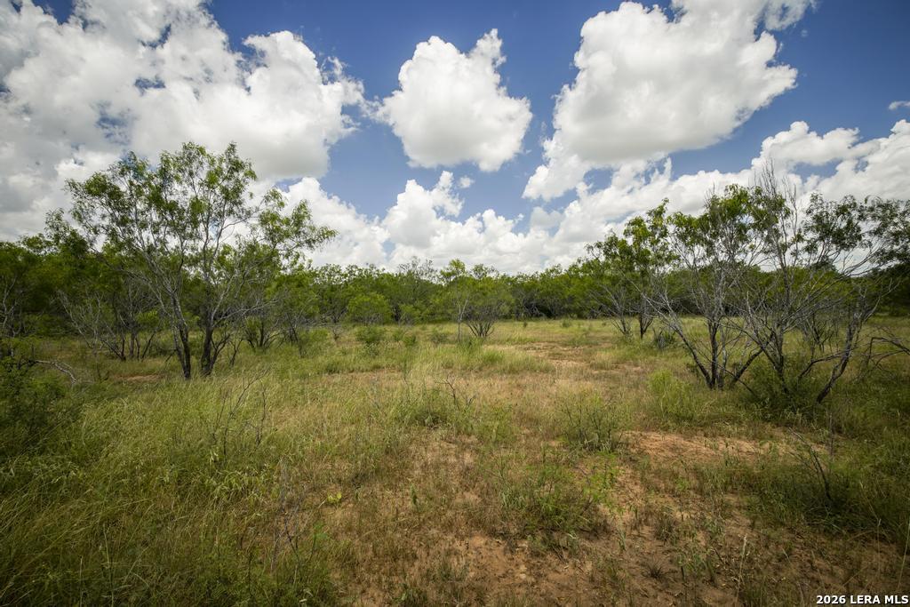 5616 Fm 1117 Seguin TX 78155