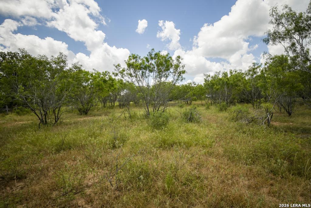 5616 Fm 1117 Seguin TX 78155