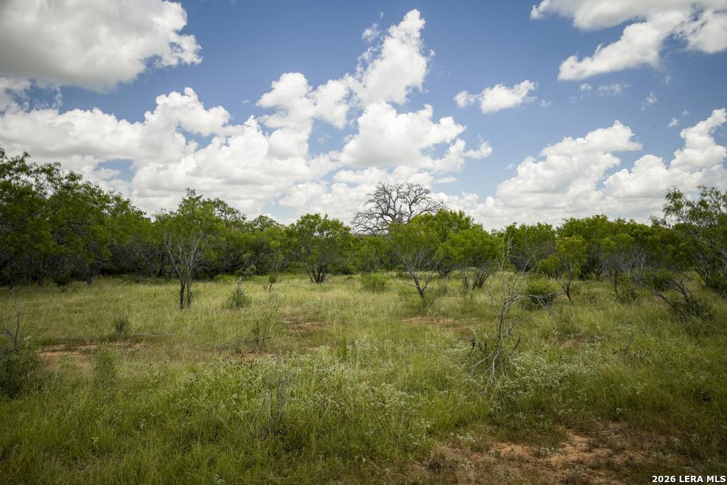 5616 Fm 1117 Seguin TX 78155