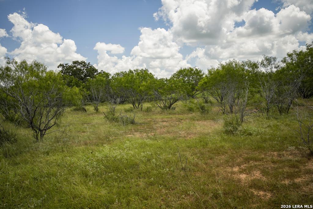 5616 Fm 1117 Seguin TX 78155
