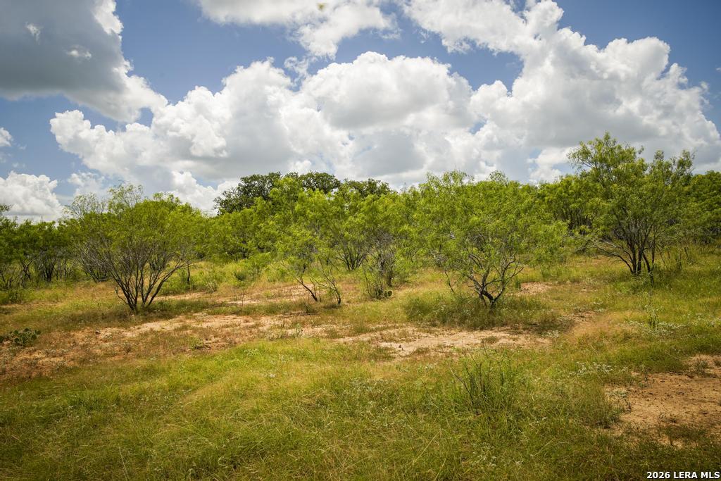 5616 Fm 1117 Seguin TX 78155