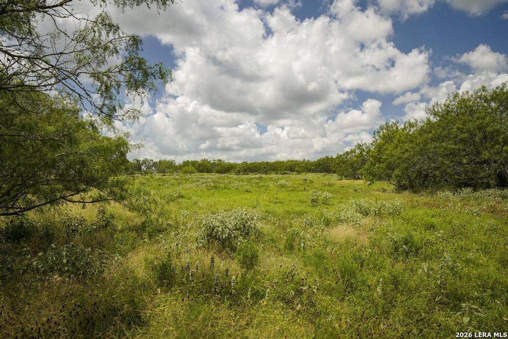5616 Fm 1117 Seguin TX 78155