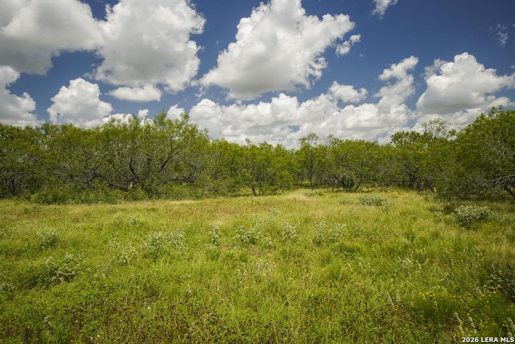 5616 Fm 1117 Seguin TX 78155