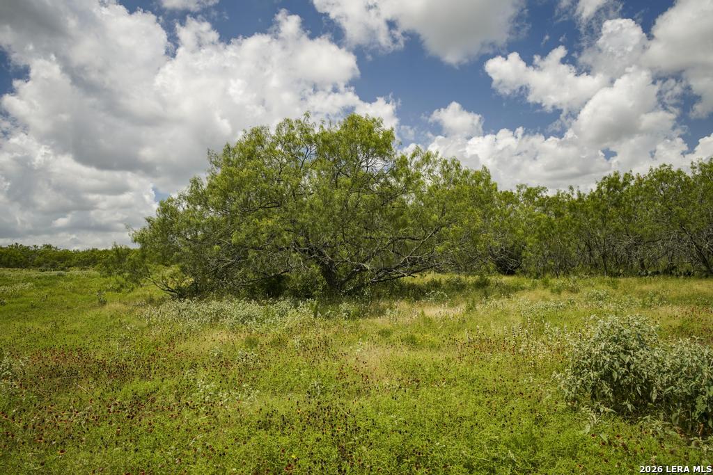 5616 Fm 1117 Seguin TX 78155