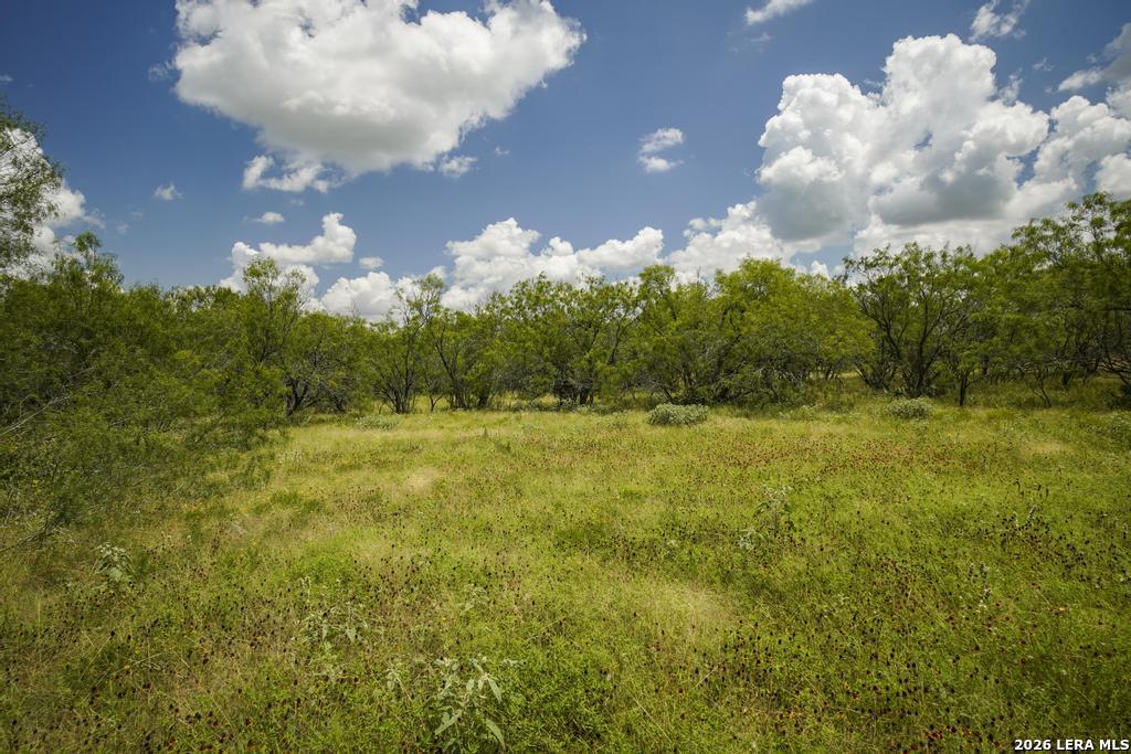 5616 Fm 1117 Seguin TX 78155