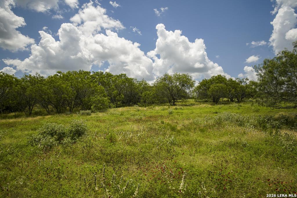 5616 Fm 1117 Seguin TX 78155