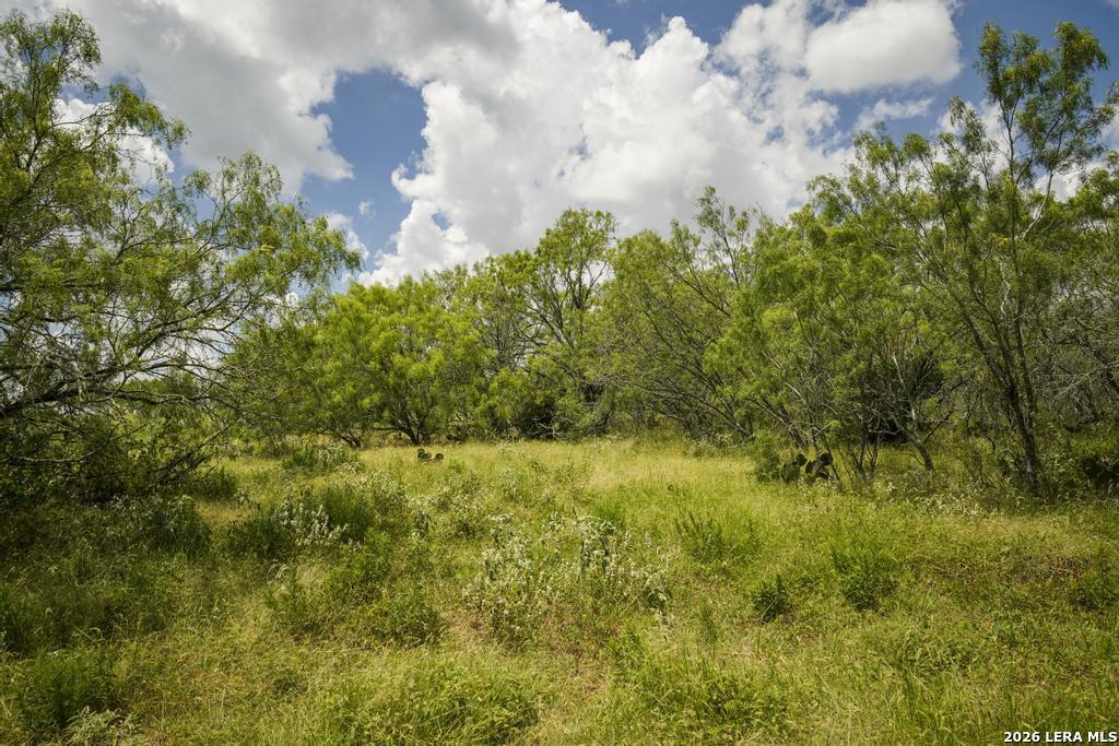 5616 Fm 1117 Seguin TX 78155