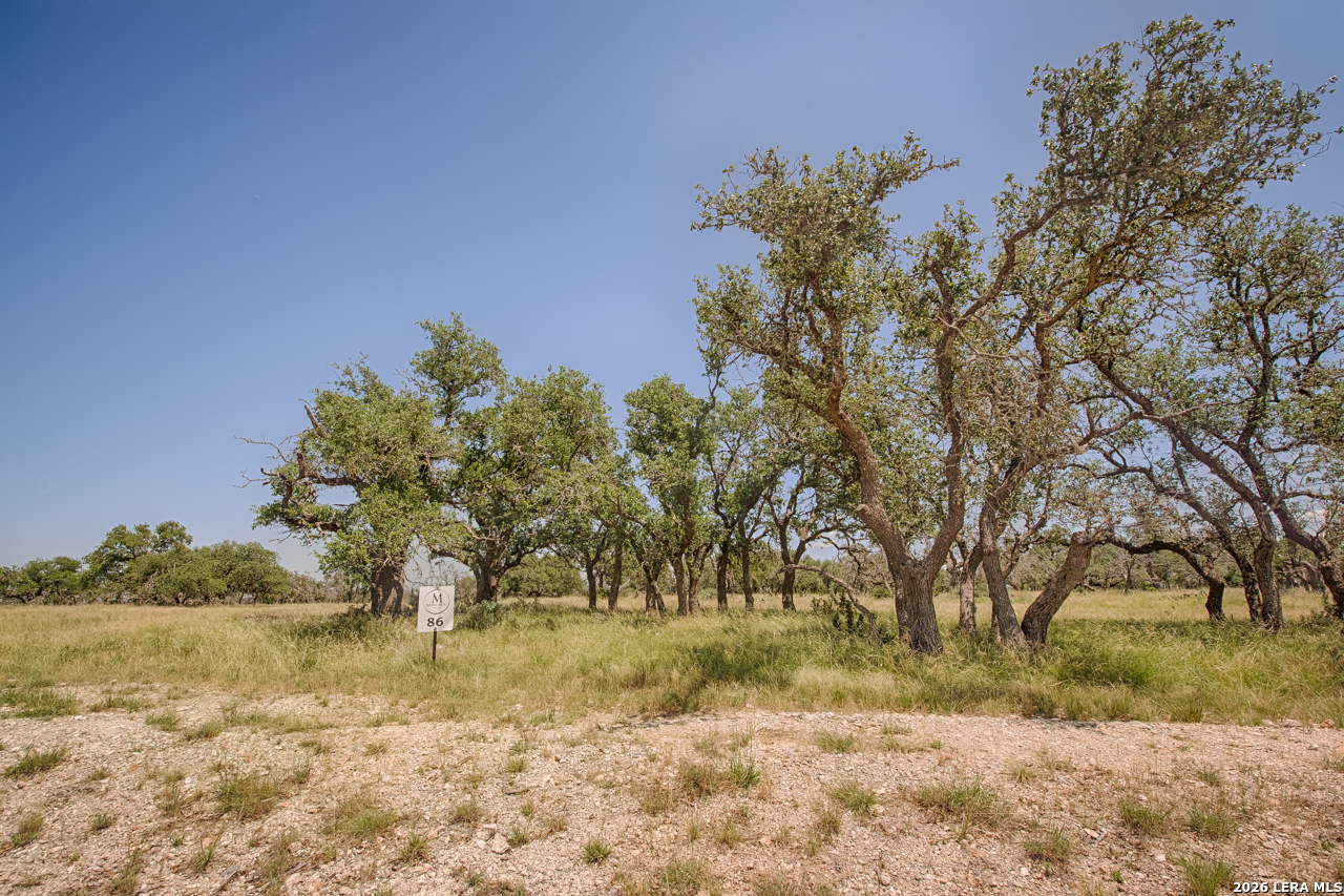 Lot 86 Stock Pond Drive Harper TX 78631