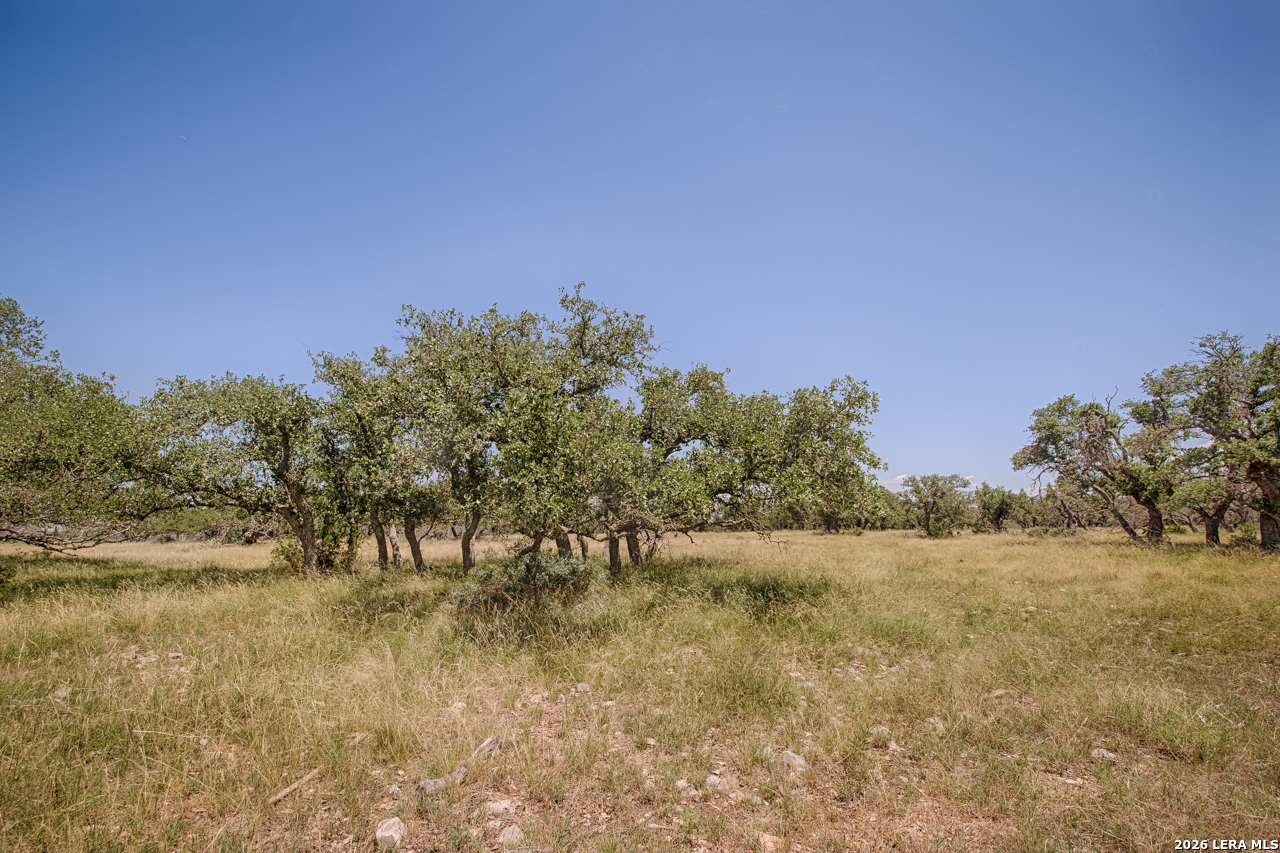 Lot 86 Stock Pond Drive Harper TX 78631