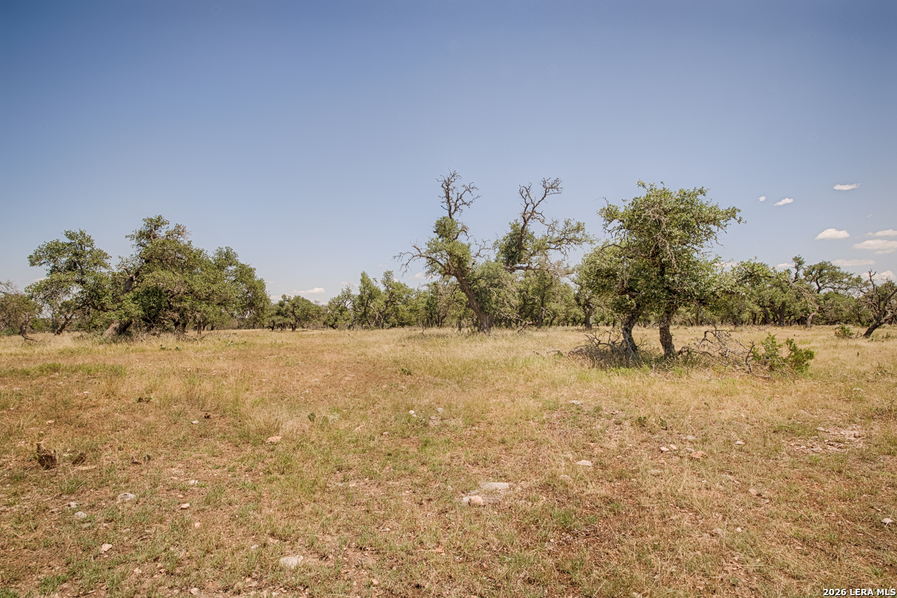Lot 86 Stock Pond Drive Harper TX 78631