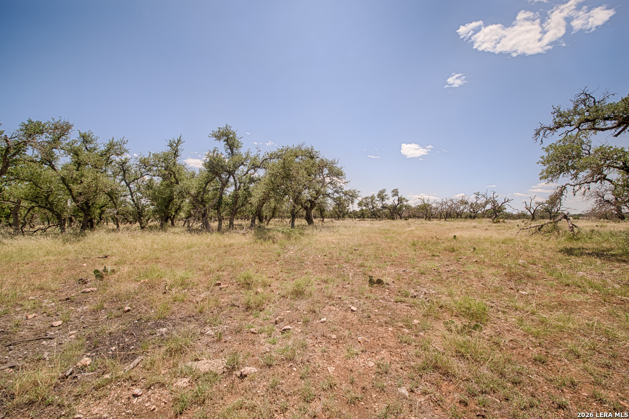 Lot 86 Stock Pond Drive Harper TX 78631