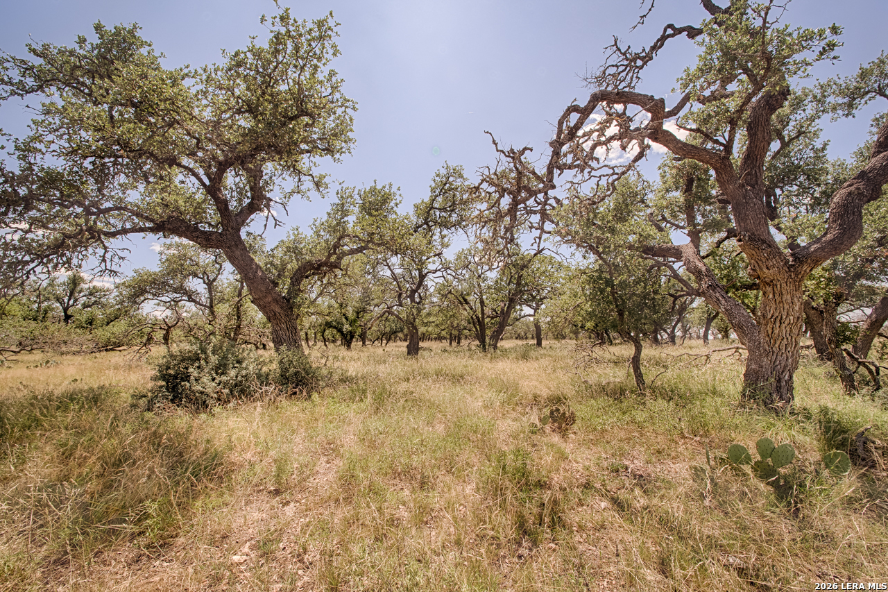 Lot 86 Stock Pond Drive Harper TX 78631