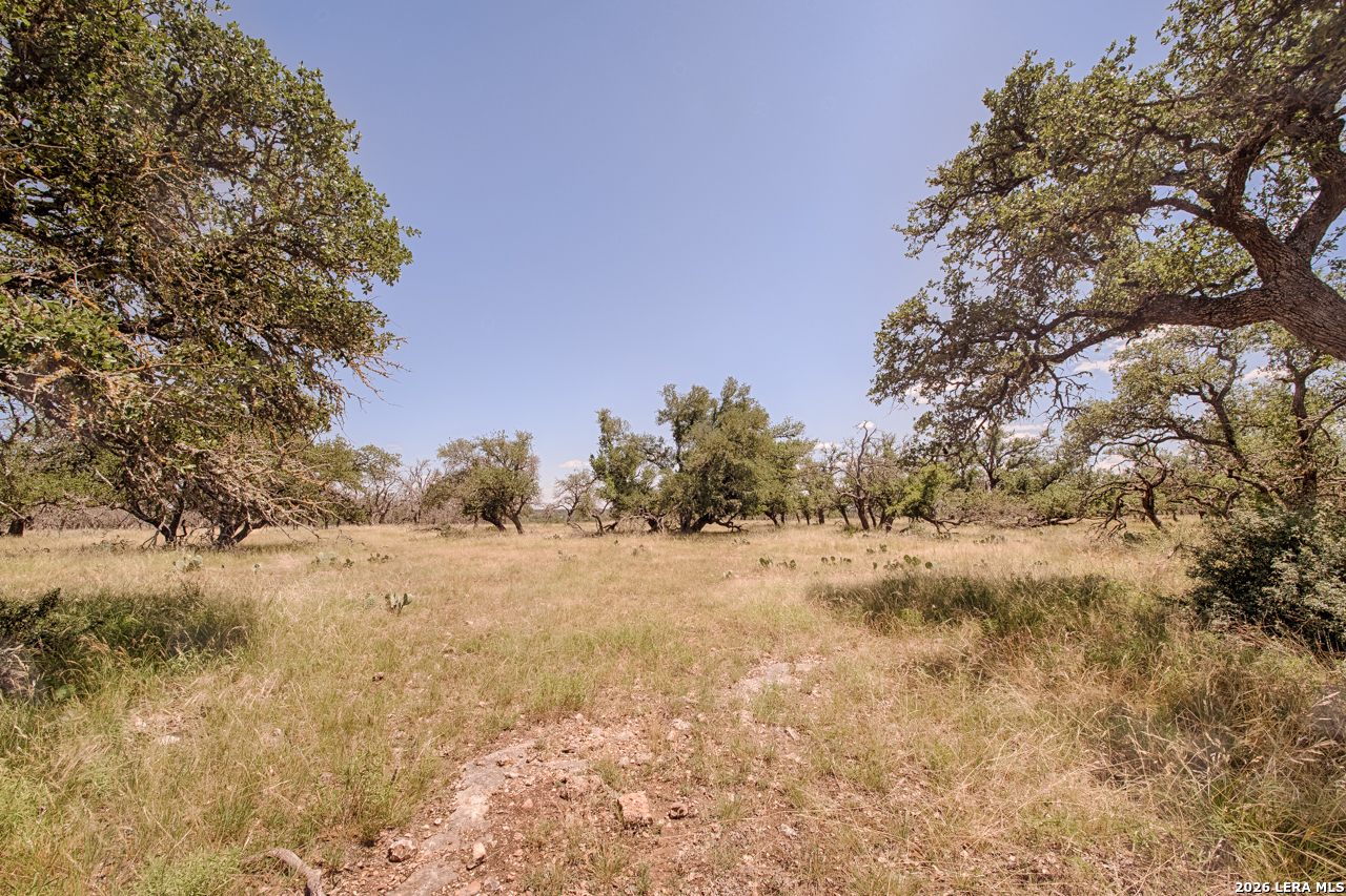 Lot 86 Stock Pond Drive Harper TX 78631