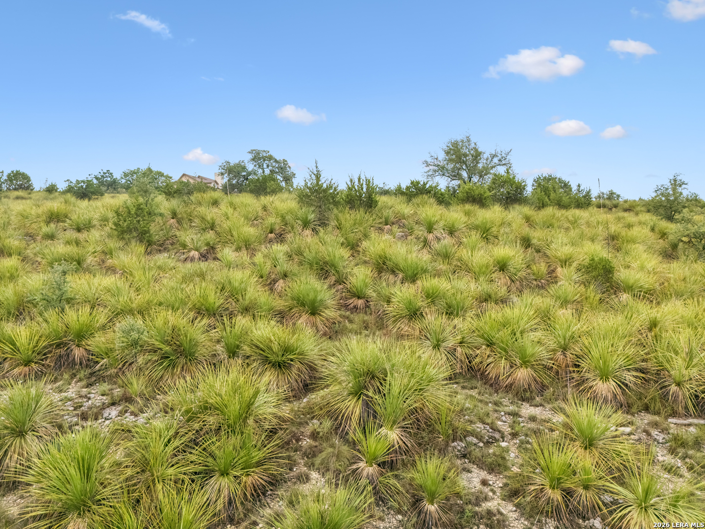 550 Blackbird Drive Spring Branch TX 78070