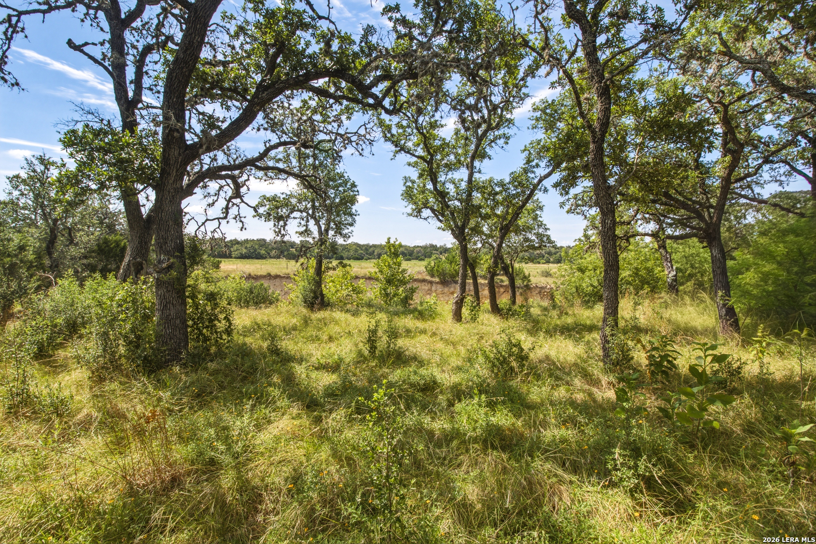 1256 Benton Creek Road Medina TX 78055