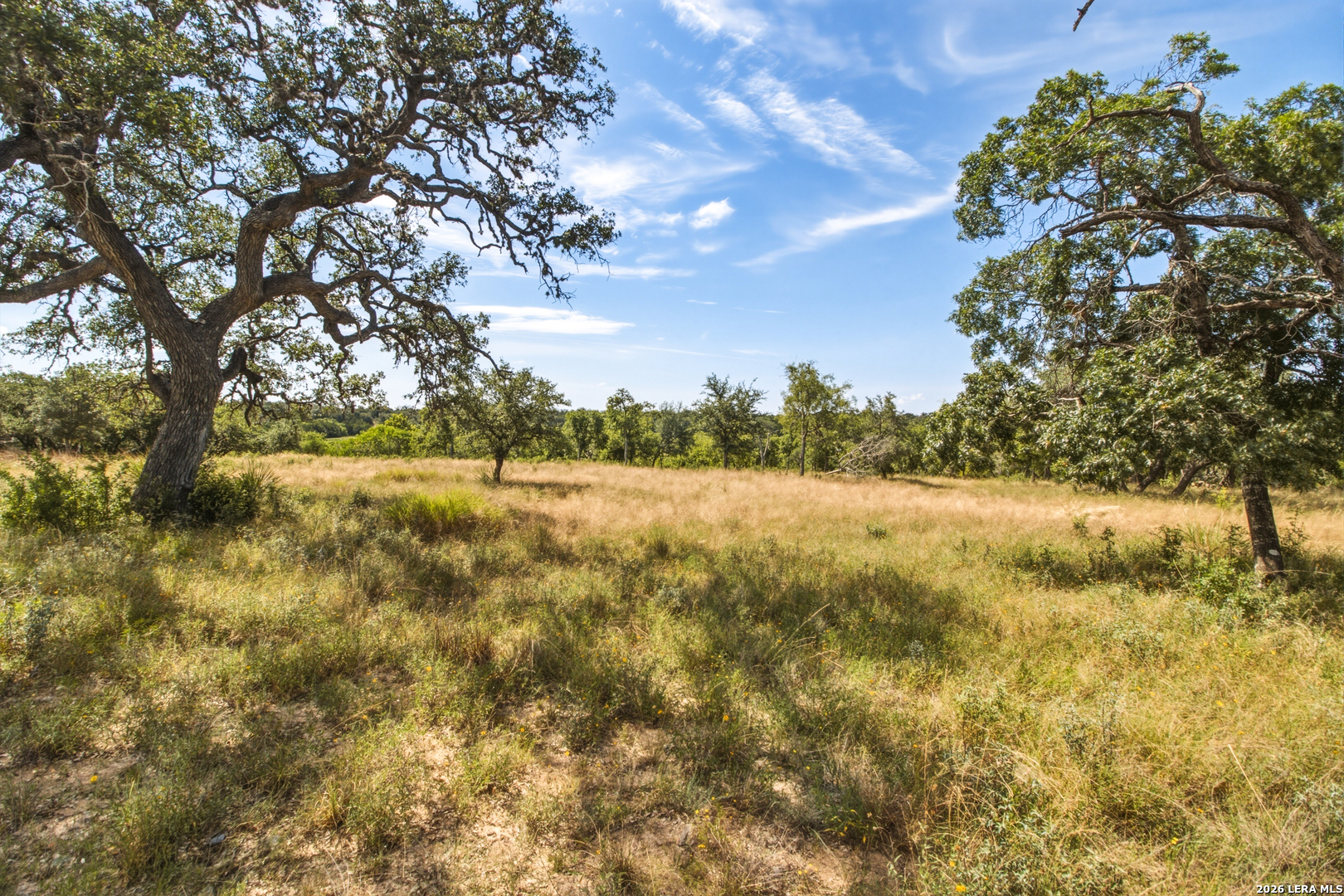 1256 Benton Creek Road Medina TX 78055