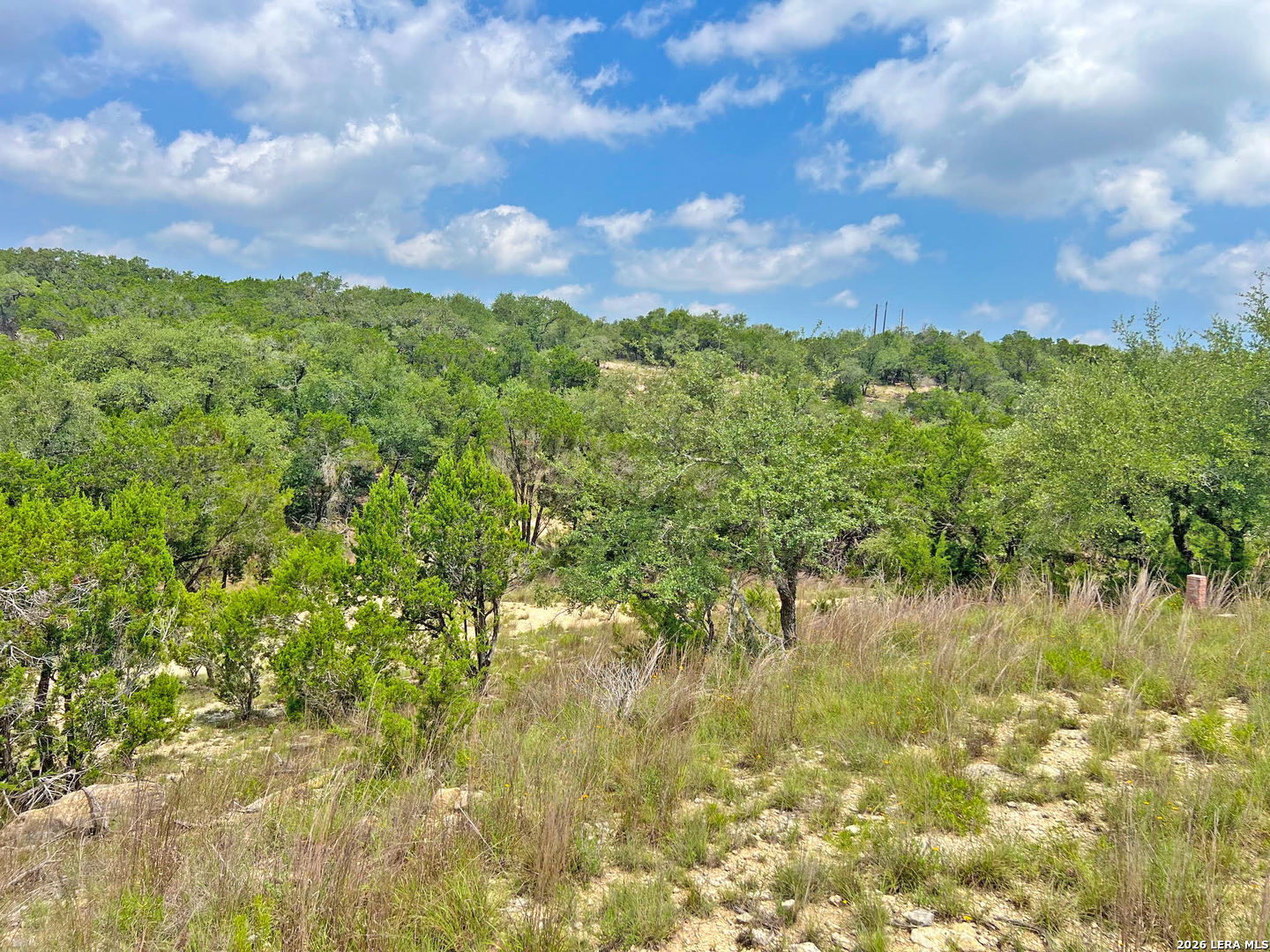 119 Champion Way Spring Branch TX 78070