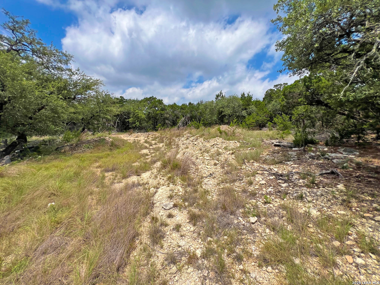 119 Champion Way Spring Branch TX 78070