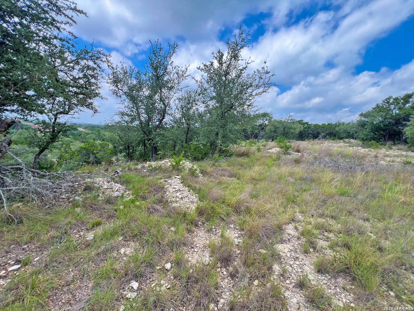 119 Champion Way Spring Branch TX 78070