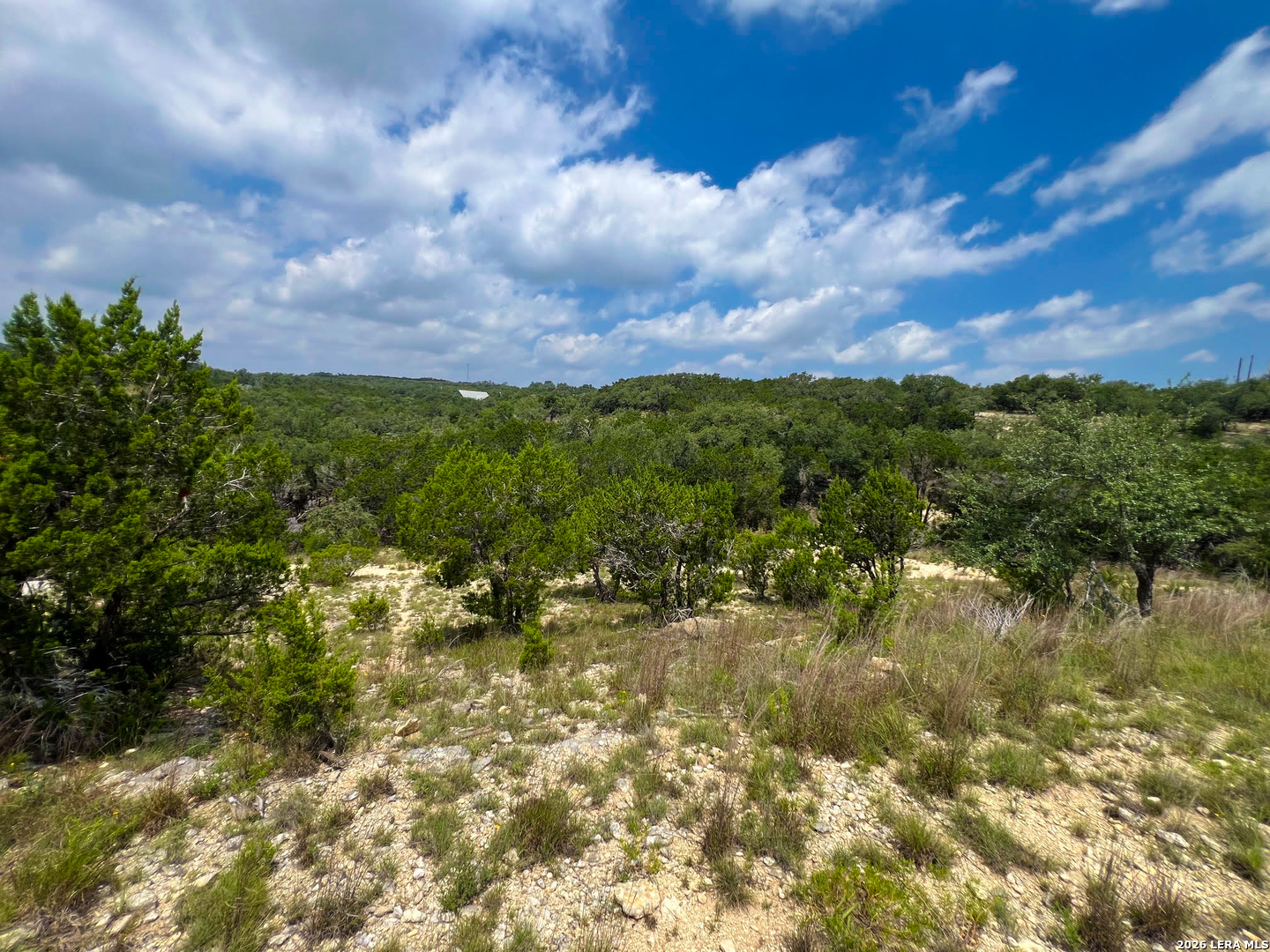 119 Champion Way Spring Branch TX 78070