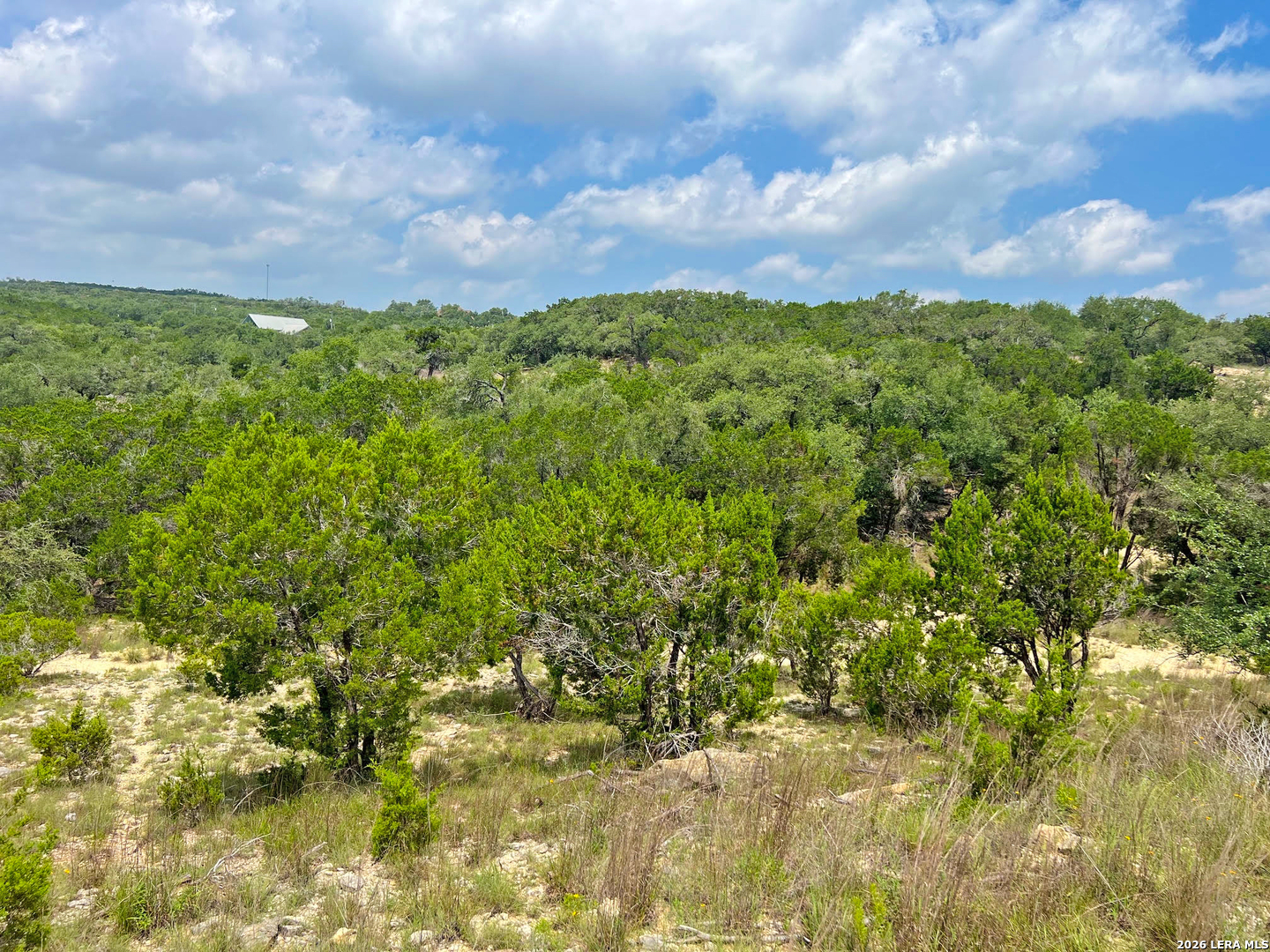 119 Champion Way Spring Branch TX 78070