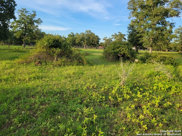 1130 Blacksmith Lane Weimar TX 78962