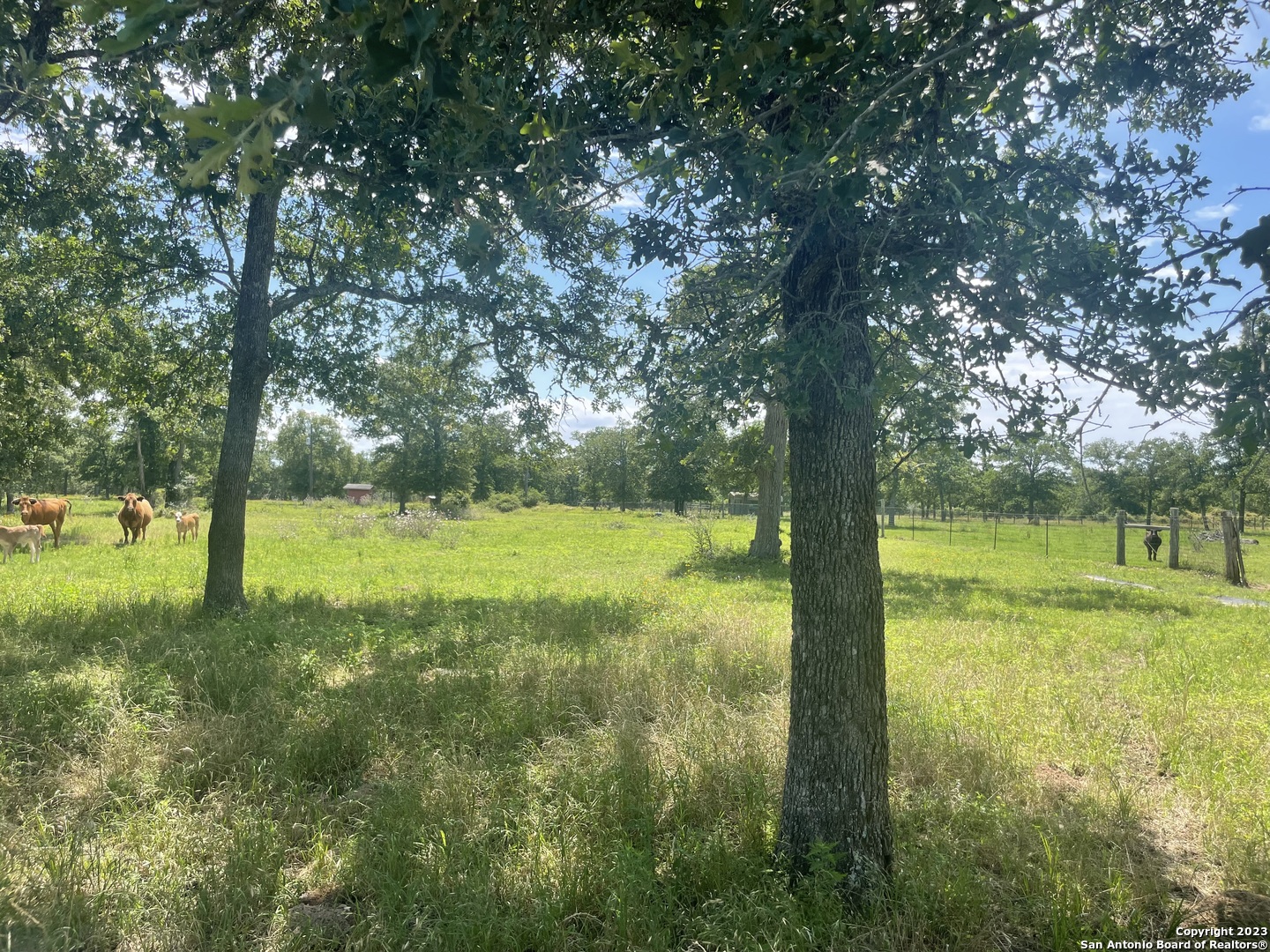 1130 Blacksmith Lane Weimar TX 78962