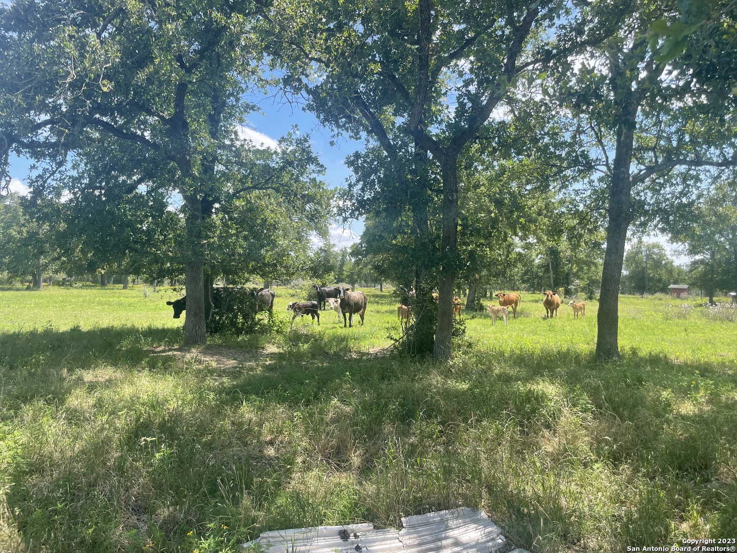 1130 Blacksmith Lane Weimar TX 78962