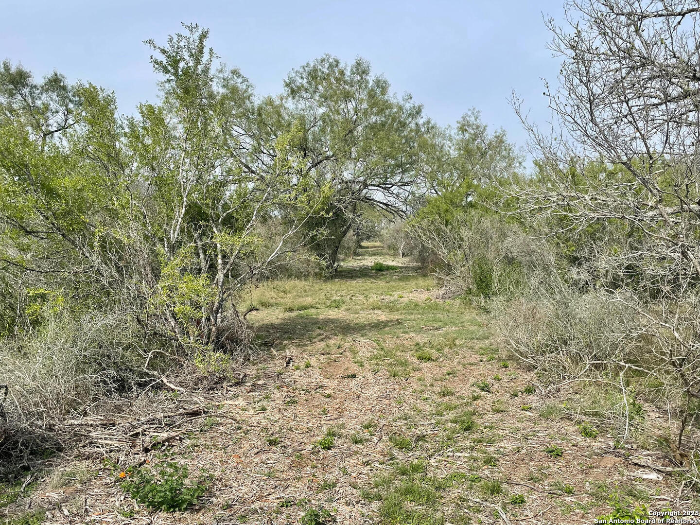 169 County Road 1670 Moore TX 78057