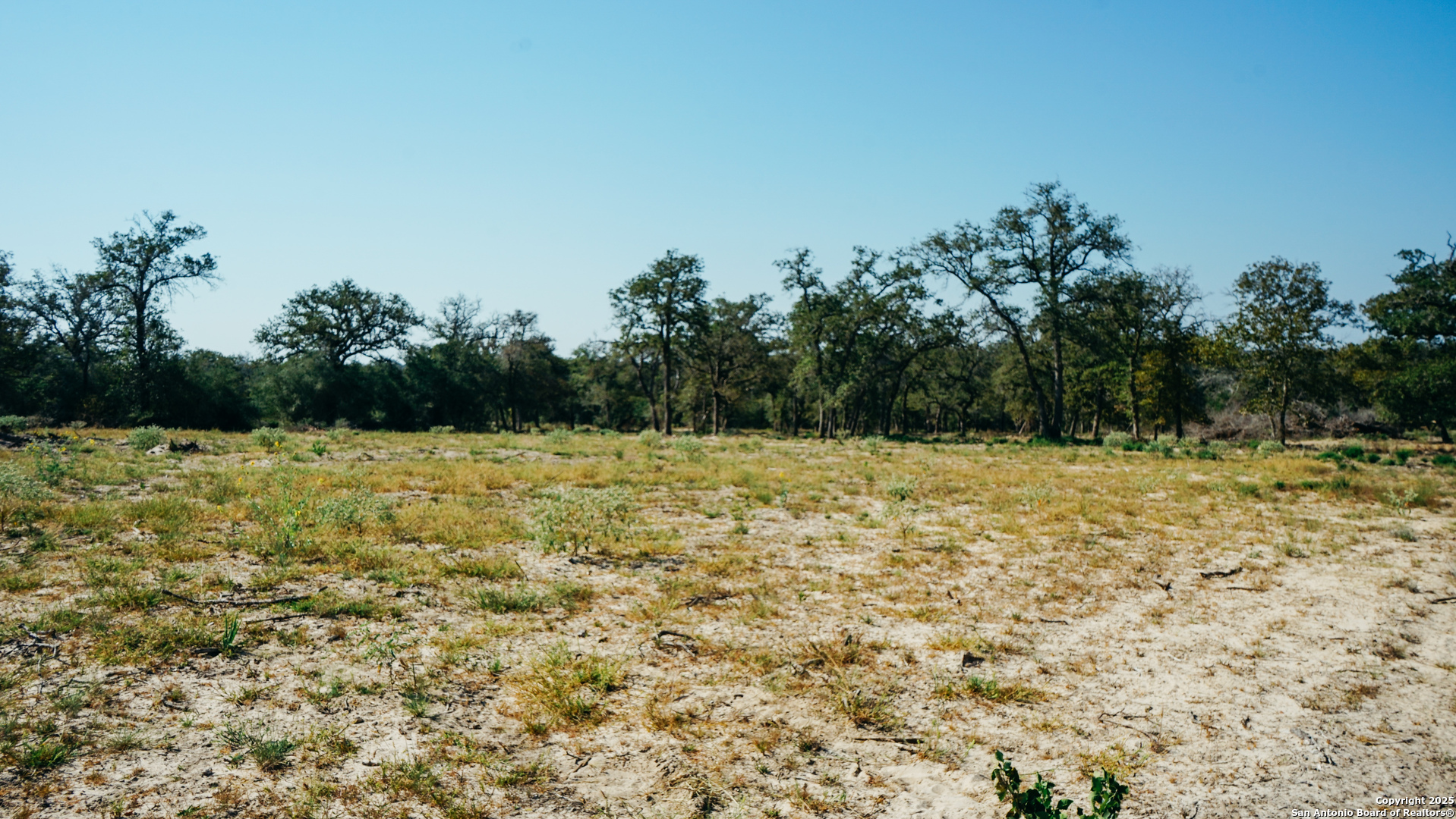 Tbd Private Road Seguin TX 78155