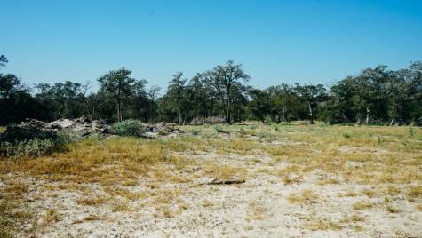 Tbd Private Road Seguin TX 78155
