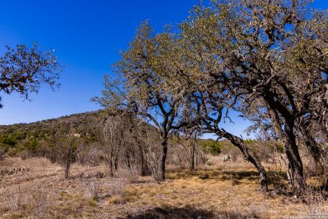 2400 Little Dry Frio Road Leakey TX 78873