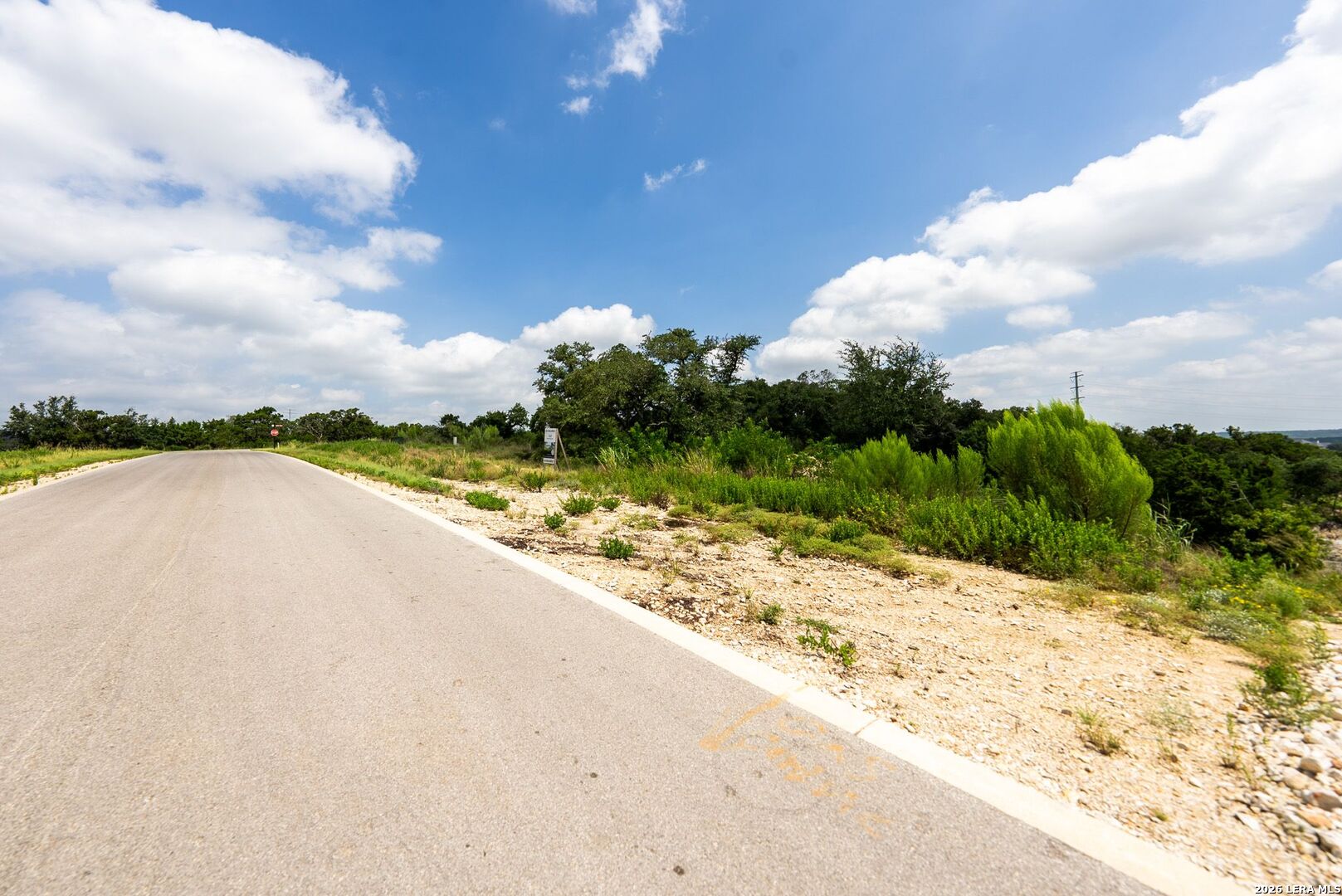 525 Rosemary Ridge Drive Bulverde TX 78163