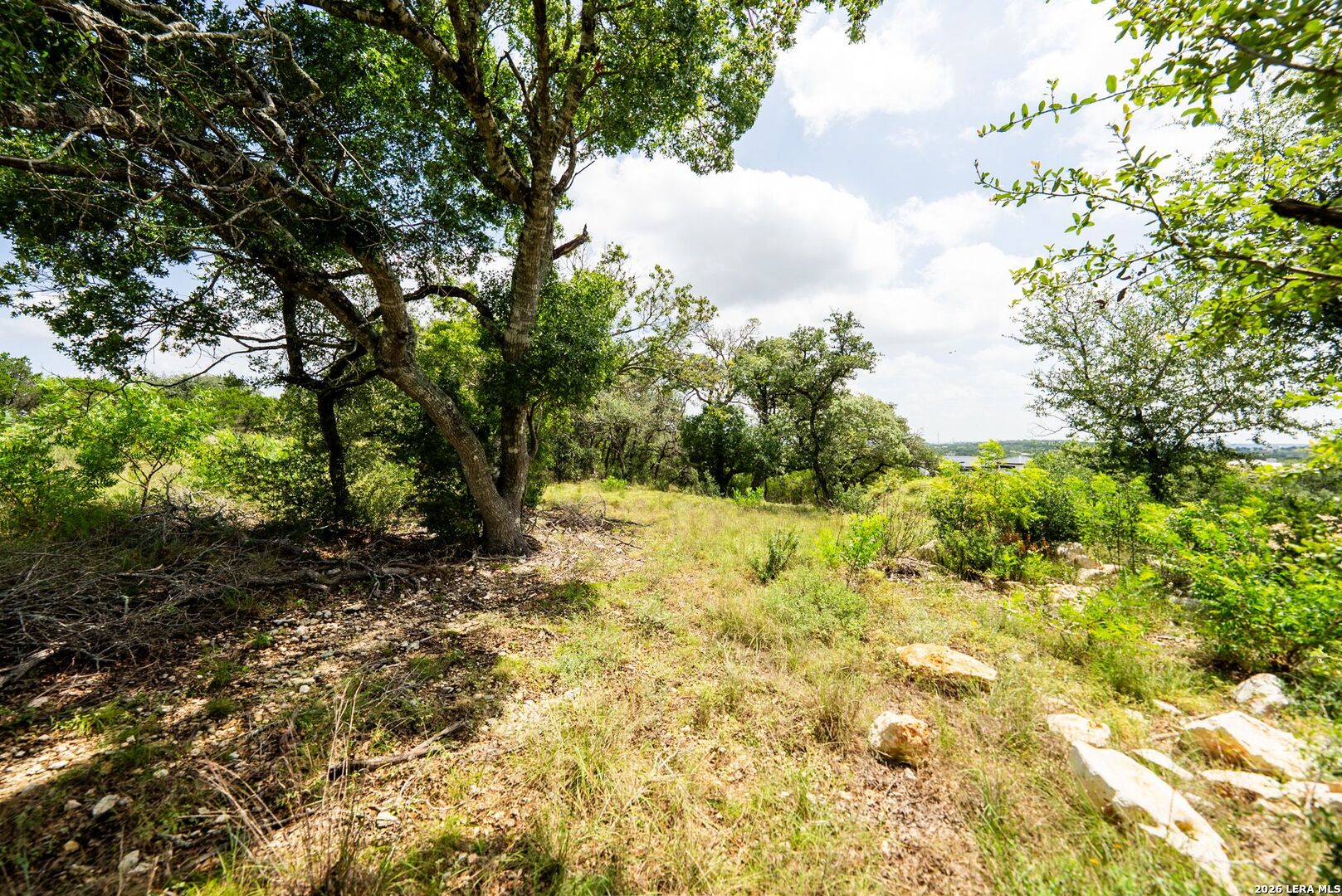 525 Rosemary Ridge Drive Bulverde TX 78163