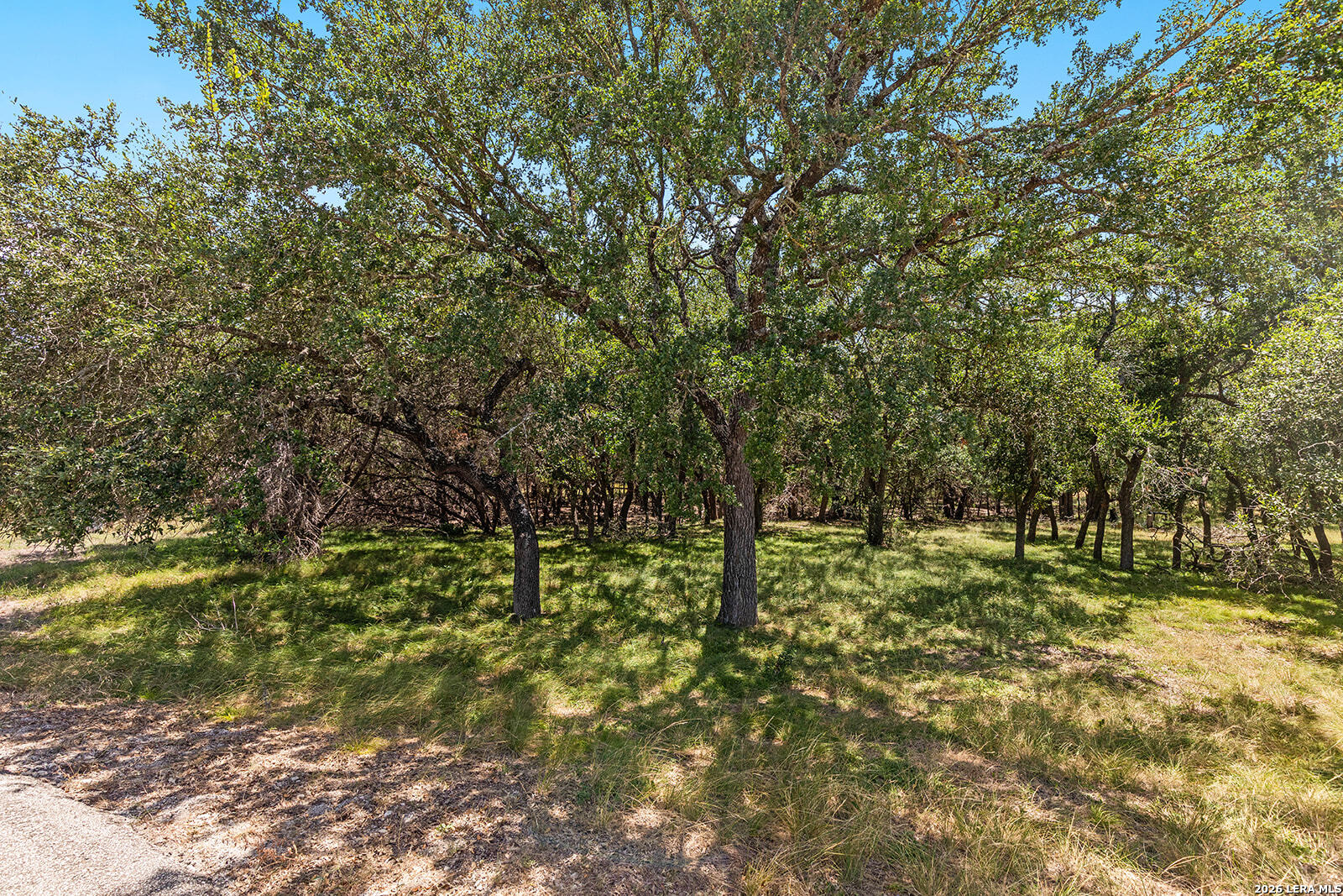 1187 Long Meadow Spring Branch TX 78070